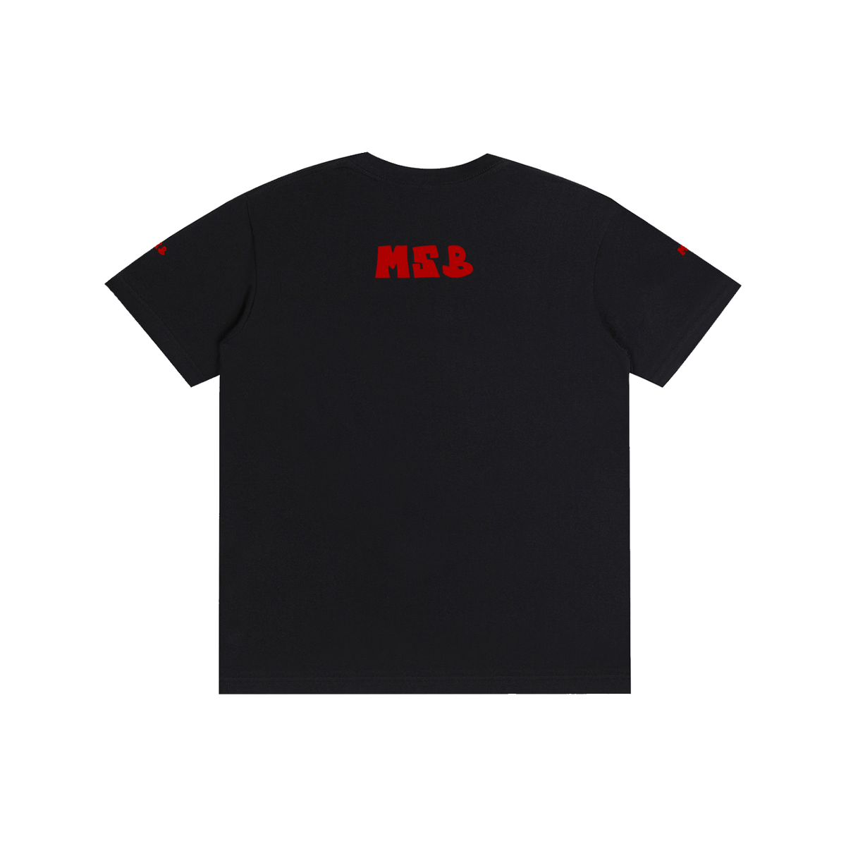 Mississippi baby  T-Shirt